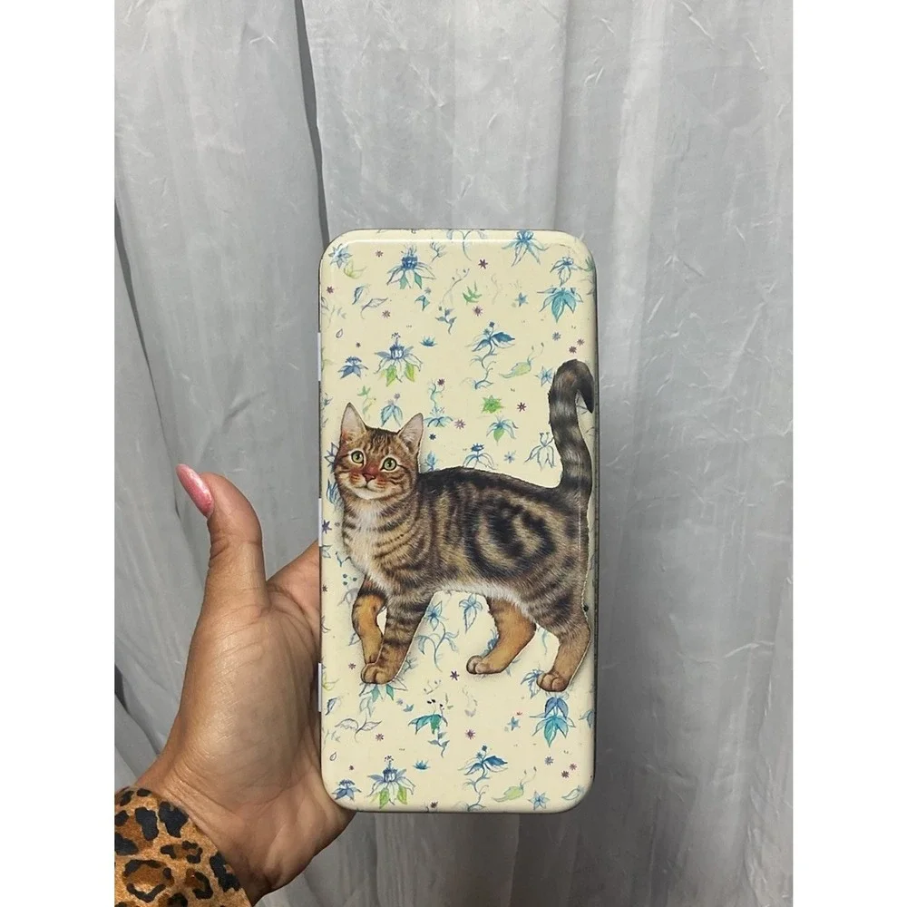 Vintage VHTF Metal Hinged Boxes Box Cat Kitten Tabby‎ Debby Cook htf ~7.5x3.75
